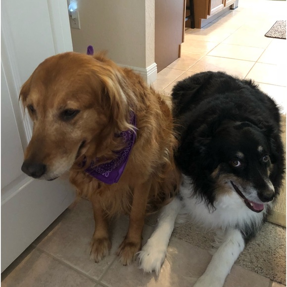 Meet your Posher, Suzanne - Picture 2 of 13